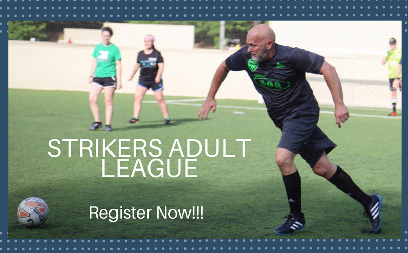 Adult Spring League